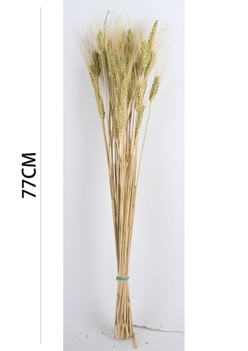 [7152VERDE CLARO] Rama de plantas secas 7152 verde claro - Decoración natural