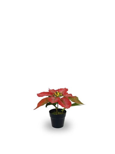 [630872-T.RED] Bonsái artificial de 1 cabeza de Flores de Navidad simuladas - Planta decorativa
