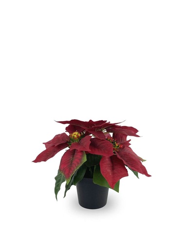 [630871-RED] Bonsái artificial de 3 cabezas cortas de Flores de Navidad de 25 cm - Planta decorativa