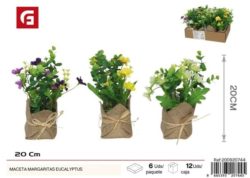 [200920744] Maceta de margaritas de eucalipto - Decoración para jardines