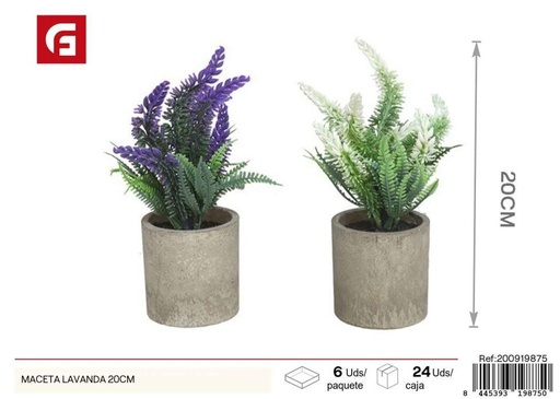 [200919875] Maceta de lavanda de 20 cm - Decoración para jardines