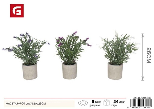 [200919836] Maceta de P/pot lavanda de 26 cm - Decoración para jardines