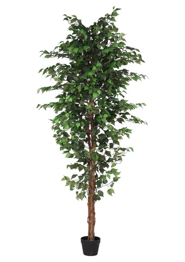 [630532-2] Planta artificial de ficus 210 cm - Plantas de interior