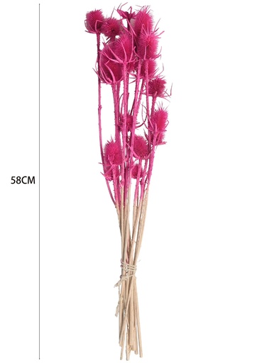 [8435588890095玫红] Vara de flores preservadas - Decoración floral