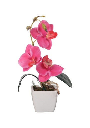 [631122-玫红] Planta falsa de orquídea en miniatura - Decoración de interiores