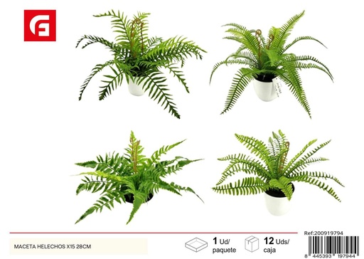 [200919794] Maceta helechos x15 28 cm - Decoración y plantas artificiales