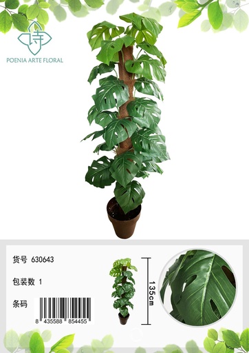[630643] Planta en maceta con hojas de costilla de adán 135cm - Adornos vegetales