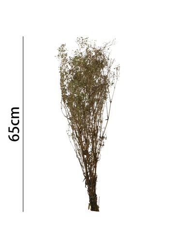 [7176-VERDE] Gypsophila preservada 65 cm - Flores artificiales