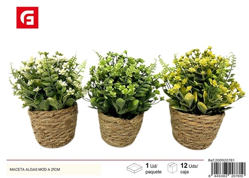 [200920781] Maceta moderna de algas de 21 cm - Accesorios decorativos para jardín