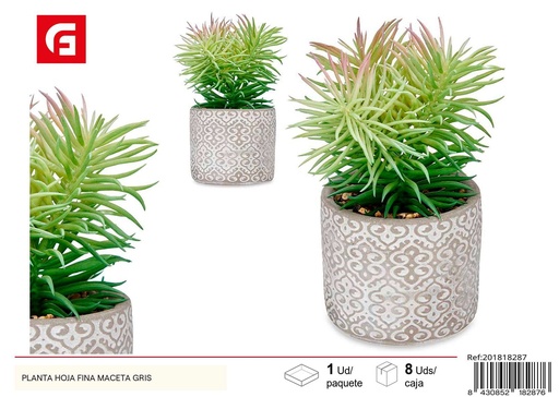[201818287] Planta hoja fina en maceta gris - Jardinería y decoración de interiores