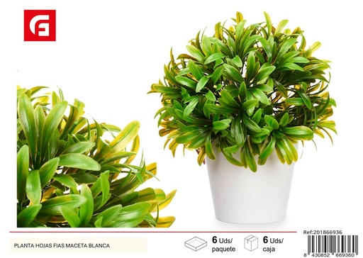 [201866936] Planta de hojas en maceta blanca - Jardinería y decoración de interiores