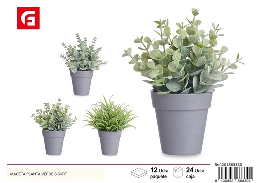 [201883830] Maceta planta verde surtido 3 col. - Jardinería y decoración de exteriores