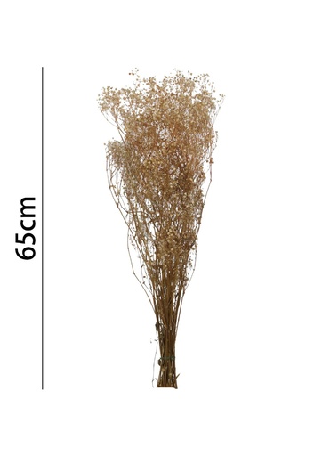 [7176-MALVA] Ramo de flor de gypsophila preservada de 65cm - Novedades