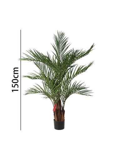 [631348] Palmera 150 cm con maceta - Plantas decorativas