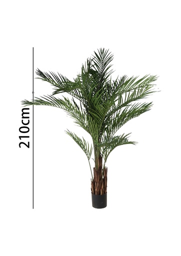 [631347] Árbol palmera 210 cm con maceta - Plantas decorativas