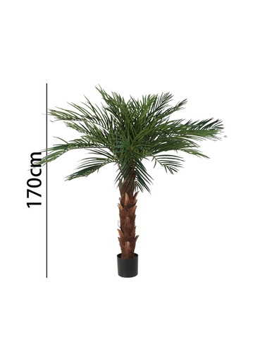 [631337] Palmera areca 170 cm con maceta - Plantas decorativas