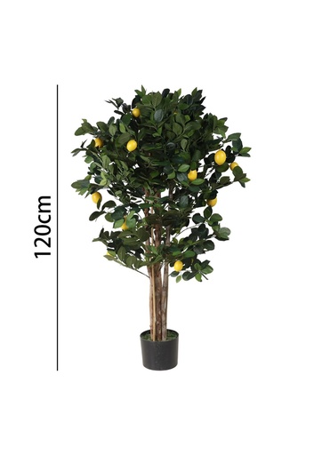 [631335] Limonero 120 cm con maceta - Plantas decorativas