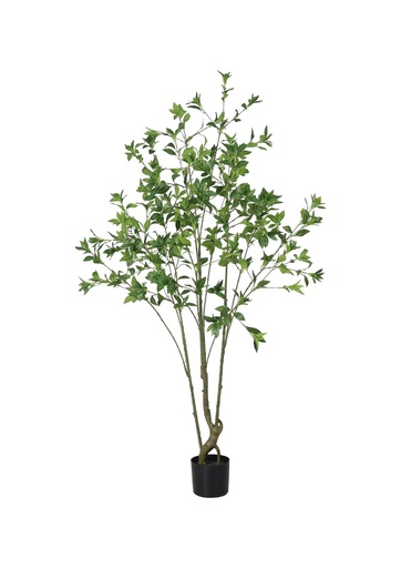 [631428] Árbol de amancay 180 cm - Plantas decorativas