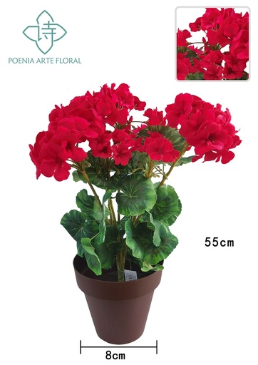 [8435132846462红色] Flor de begonia en maceta de 55 cm - Plantas de maceta