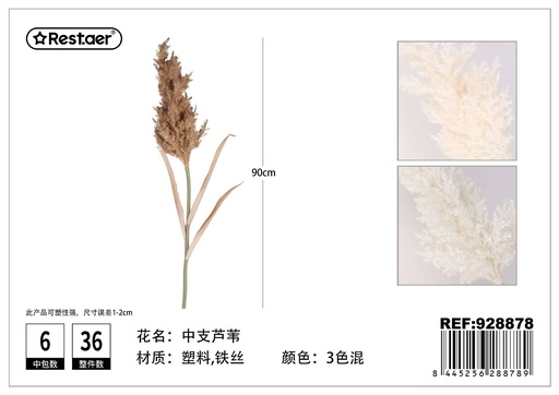 [928878] Ramo de caña mediana 90cm - Flores secas decorativas