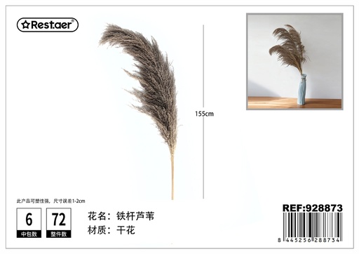 [928873] Ramo de flores secas de cañas 140-150cm - Flores secas decorativas