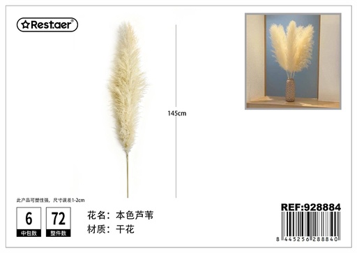 [928884] Ramo de cañas secas de color natural 130-140cm - Flores secas decorativas