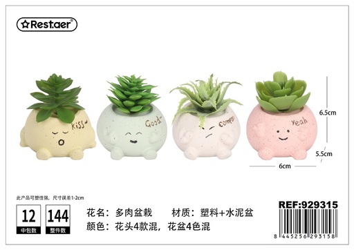 [929315] Planta suculenta 5 cm - Elementos decorativos y jardinería compacta