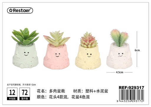 [929317] Planta suculenta 6 cm - Elementos decorativos y jardines elegantes