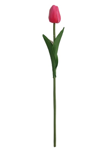 [630922粉] Ramo de tulipán en tallo de 35 cm en color blanco - Decoraciones florales