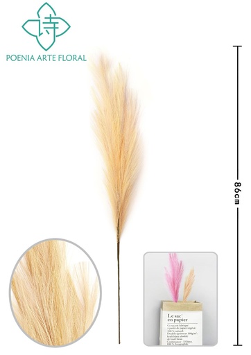 [630378-自然色] Rama de caña artificial alta - Decoración floral 