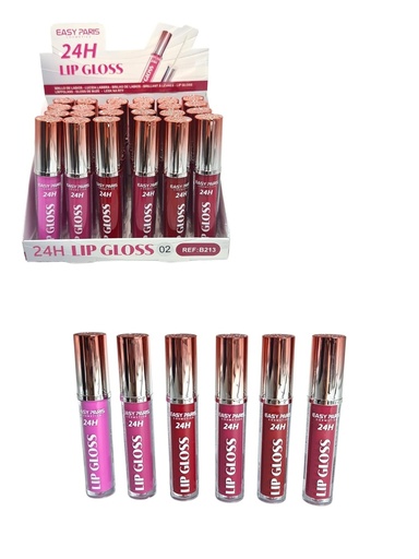 [B213-02] Baño de labios fijo (estuche de 24) - Cosméticos de labios