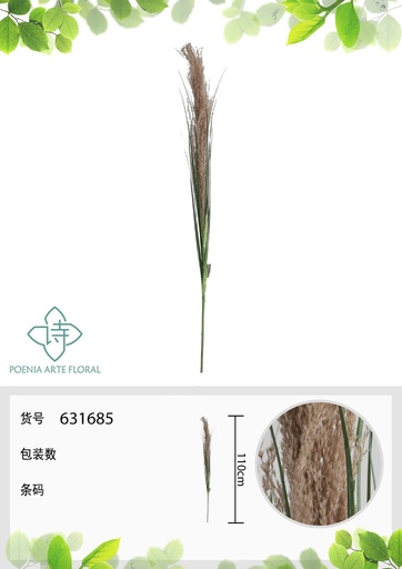 [631685] Rama de hierba natural con cebolla de 110 cm - Decoración botánica