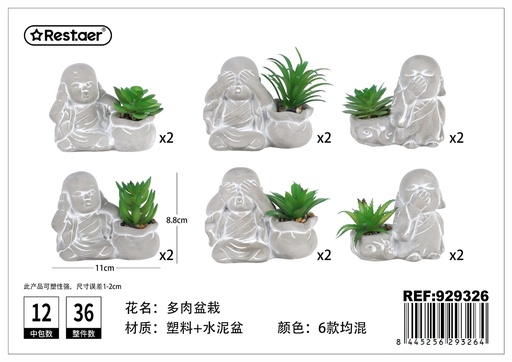 [929326] Planta suculenta de cabeza de Buda (11x5.5x8.8 cm) - Jardinería moderna y decorativa