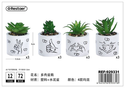 [929331] Planta suculenta (5.5x5x10 cm) - Elementos compactos y elegantes