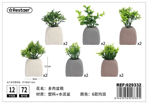 [929332] Planta suculenta (5.5x4.3x5.7/11 cm) - Jardinería estética y decorativa