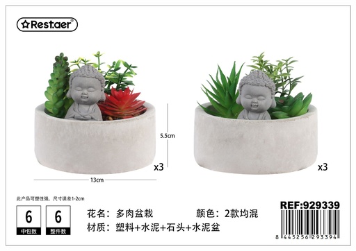 [929339] Planta suculenta (13x5.5x10 cm) - Jardinería compacta y elegante