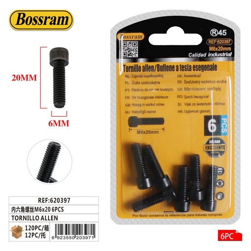 [620397] Tornillo Allen M6x20 6pcs para fijación