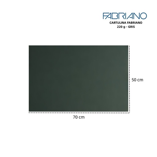[A000104] Cartulina Fabriano LR 220g 50x70cm color hierro - Materiales para manualidades