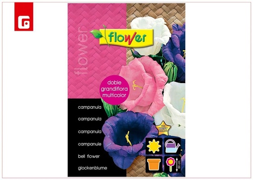 [173850605] Semilla campanula doble grandiflora multicolor - Semillas para jardín