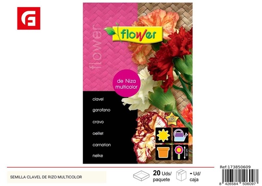 [173850609] Semilla de clavel de rizo multicolor - Semillas de jardín