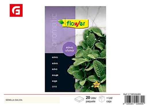 [173850689] Semilla salvia - Accesorios de jardín y cultivo