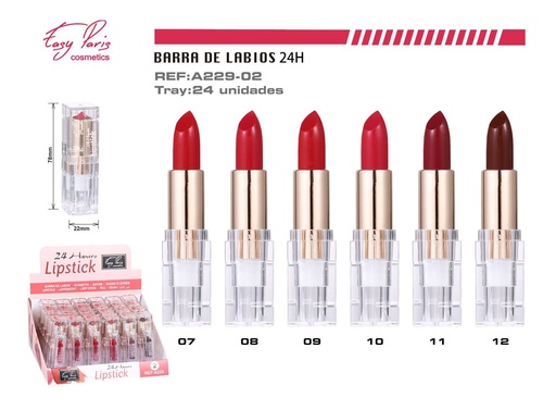 [A229-02] Barra de labios fijo 24h 24/u para maquillaje duradero