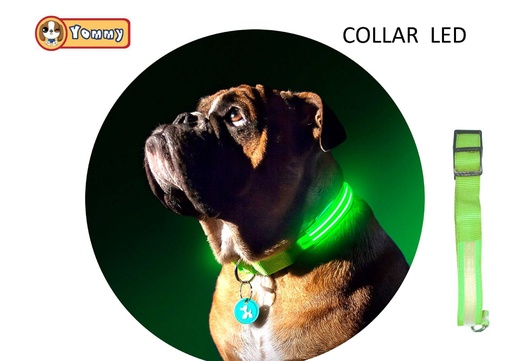 [YM1941] Collar LED para perros L 33-47cm ajustable y visible