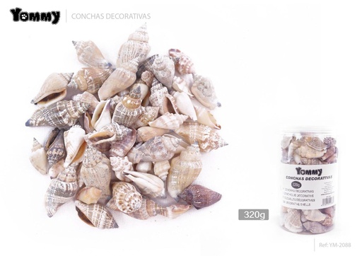[YM2088] Conchas decorativas negras 320g para acuario y manualidades