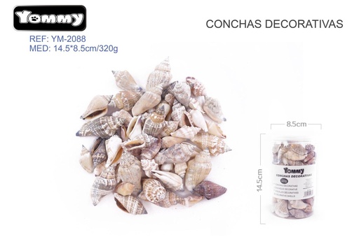 [YM2088] Conchas decorativas negras 320g para acuario y manualidades