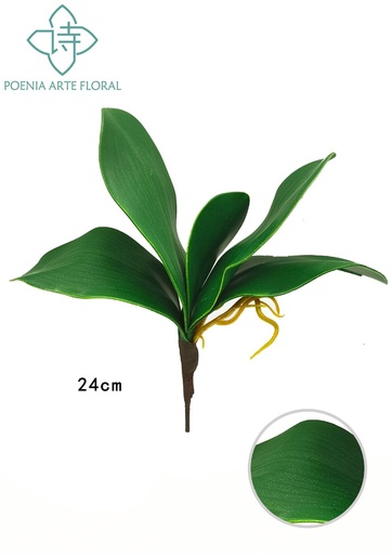 [630178] Rama de hojas verdes de orquídea - Decoraciones de plantas