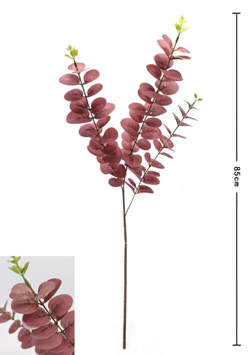 [630227-116] Vara de eucalipto para decoración 85 cm - Decoración floral