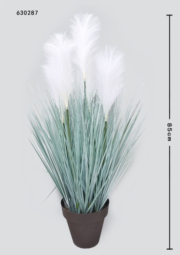 [630287]  planta decorativa de caña gris - Decoración de hogar
