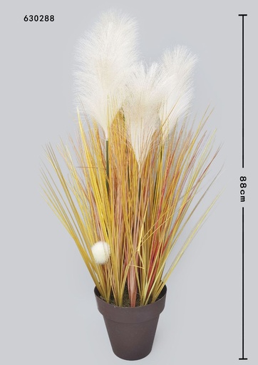 [630288]  planta decorativa de caña - Decoración de hogar