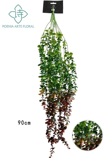 [630501-红尾] Rama con hojas de eucalipto - Decoraciones de interior